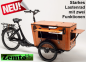 Preview: Elektro "Gastro" Lastenrad mit vielen Funktionen, 110 NM, 720 WH Akku, + großem Schirm
